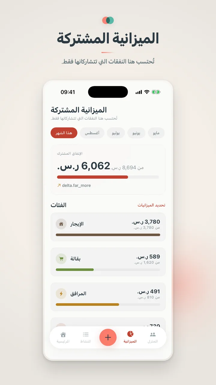 الميزانية المشتركة