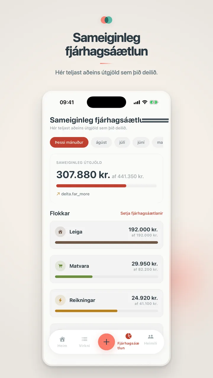 Sameiginleg fjárhagsáætlun