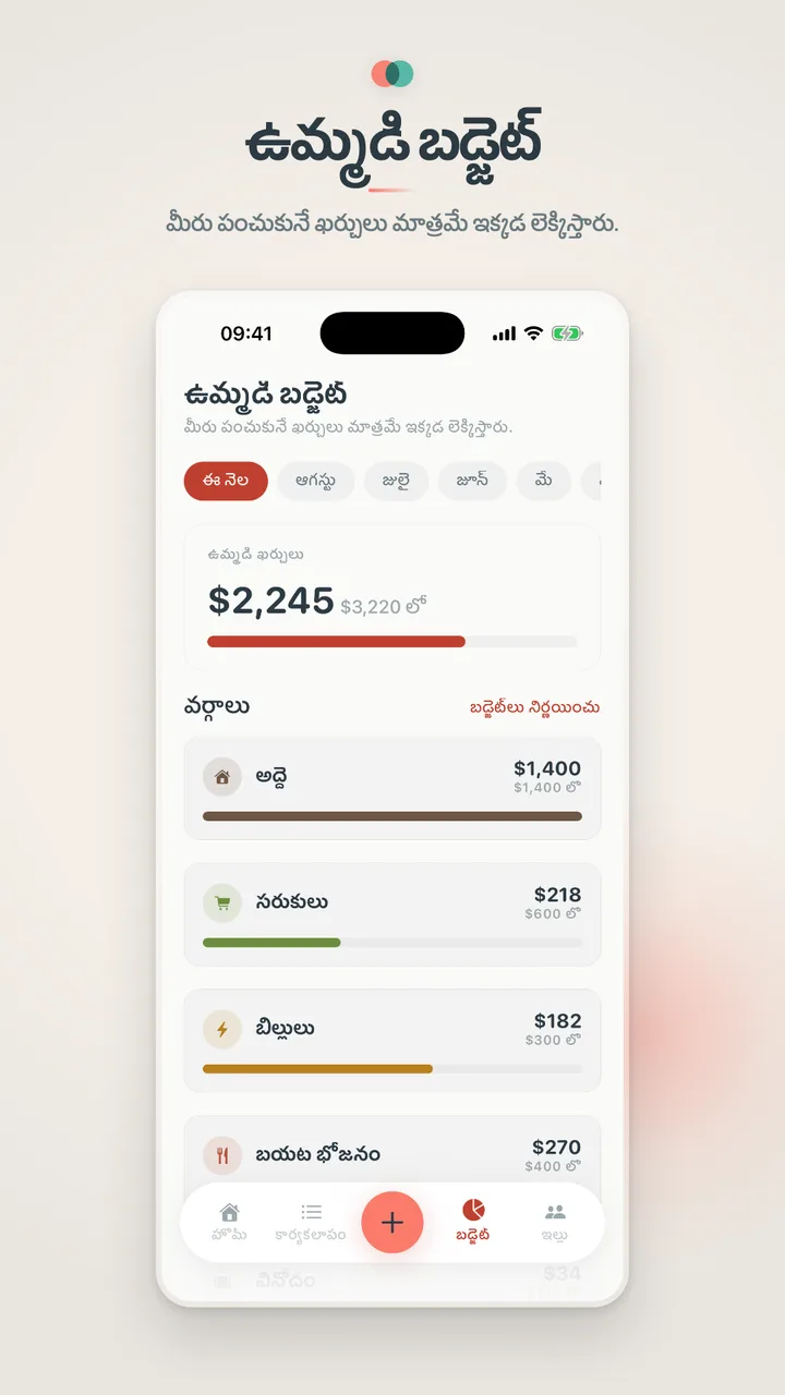 ఉమ్మడి బడ్జెట్