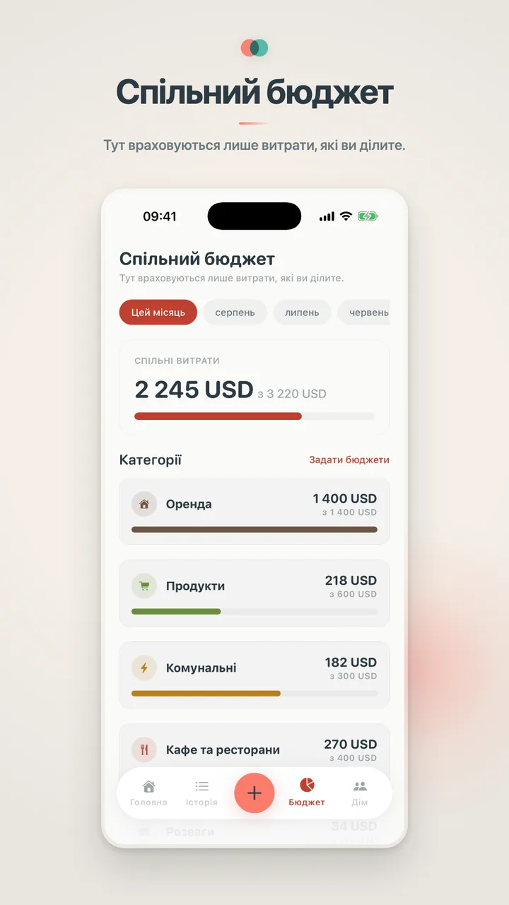 Спільний бюджет